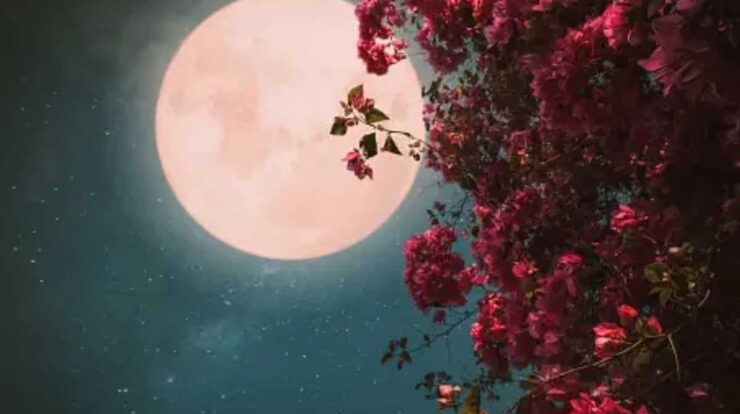 Pink moon april 2024